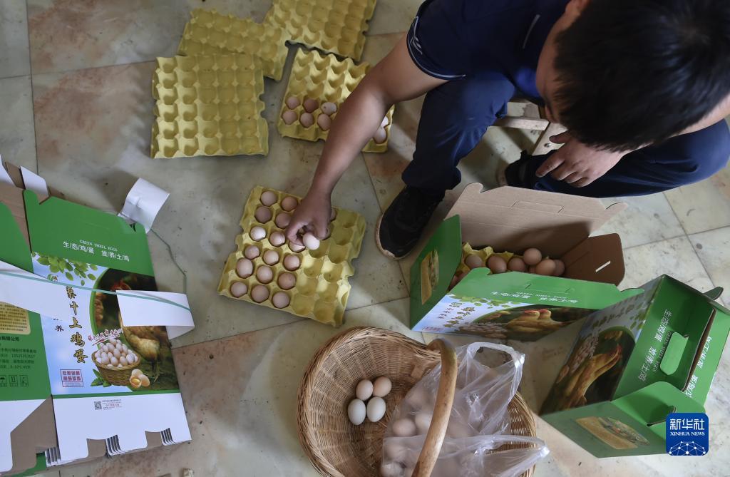 连环夺宝手机版微信qq